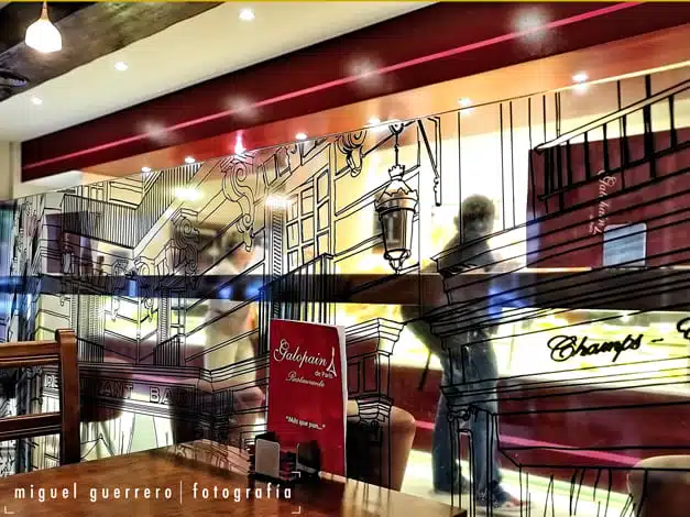 Logotec Vinilos Málaga